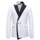 2025 New Men's Business Slim-Fit Suit: Groom and Groomsmen Tuxedos, Singer and Performance Costumes