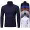 Autumn/Winter Hot Seller: Men's Solid Color Casual Basic Turtleneck Long-sleeved T-shirt